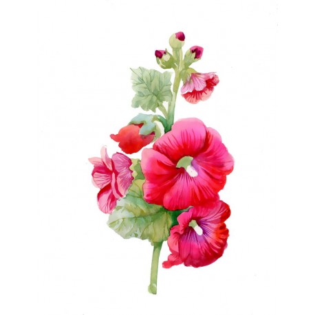 autocollants tiare chambre