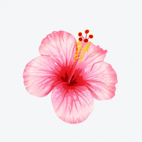 stickers muraux tiare deco