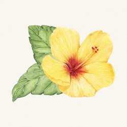 stickers tiare noir blanc