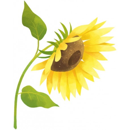 autocollant mural tournesol cuisine