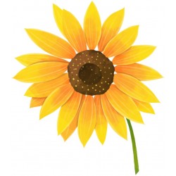 autocollant mural tournesol decoratif