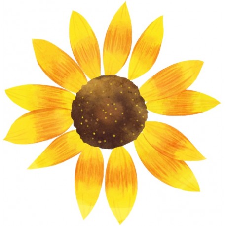 autocollant mural tournesol decoration