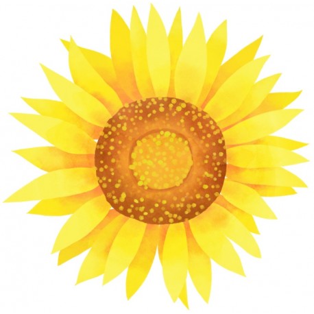 autocollant mural tournesol geant