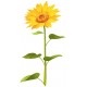 autocollant mural tournesol jaune