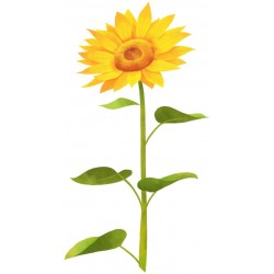 autocollant mural tournesol jaune