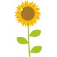 autocollants tournesol deco