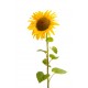 autocollants tournesol deco