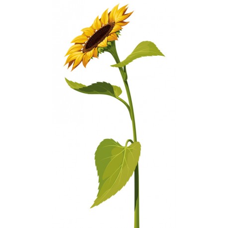 autocollants tournesol decoratif