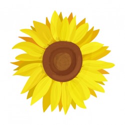 autocollant tournesol geant