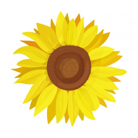 autocollant tournesol geant