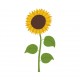 sticker mural tournesol deco enfant