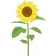 sticker mural tournesol decoratif