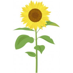 sticker mural tournesol decoratif