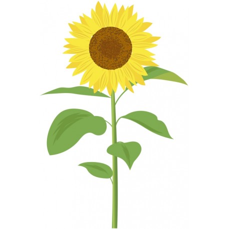 sticker mural tournesol decoratif