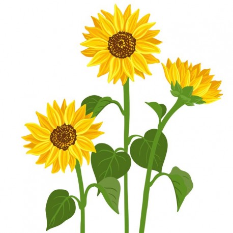 stickers tournesol deco