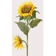 stickers tournesol decoratif