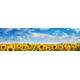 stickers tournesol pas cher