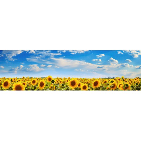 stickers tournesol pas cher