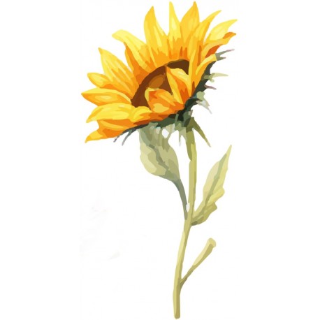 sticker tournesol cuisine