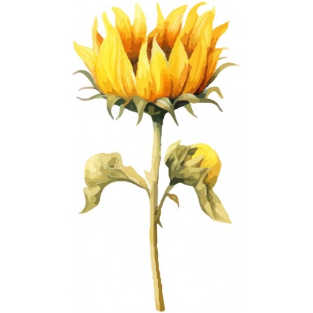 sticker tournesol cuisine