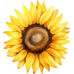 sticker tournesol deco salon