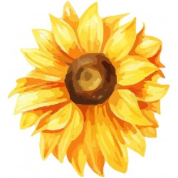 sticker tournesol geant