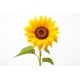 sticker tournesol jaune