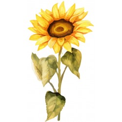 sticker tournesol pas cher