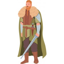 stickers viking chambre