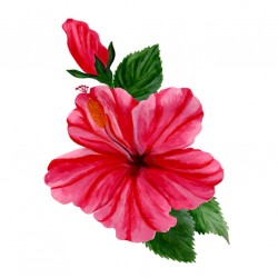 stickers muraux tiare jaune deco