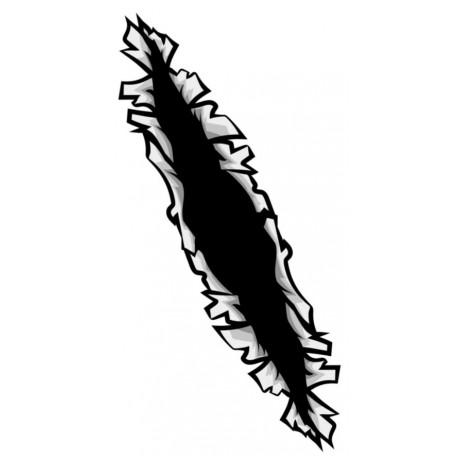 sticker mural cartouche arme