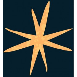 autocollants muraux etoile garcon deco