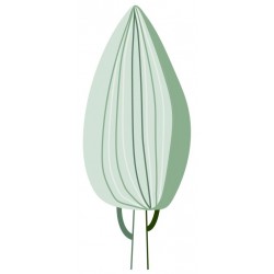 autocollants mural arbre marron