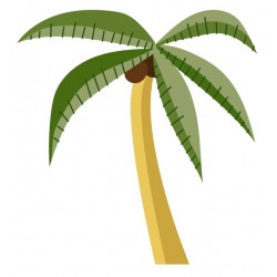 sticker mural cocotier