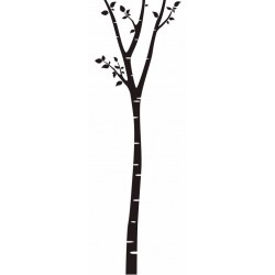 autocollant muraux bouleau