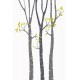 autocollant muraux bouleaux