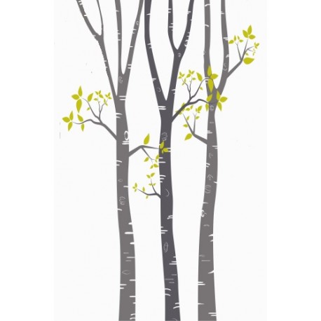 autocollant muraux bouleaux