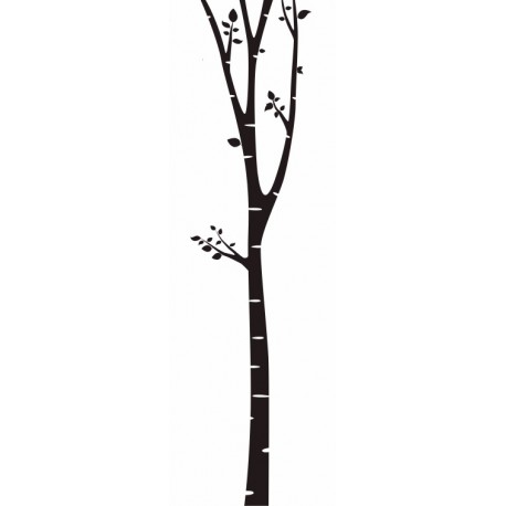 sticker mural bouleau design