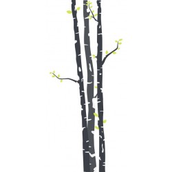 sticker muraux bouleau