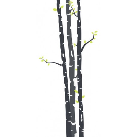 sticker muraux bouleau