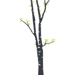 stickers mural bouleau