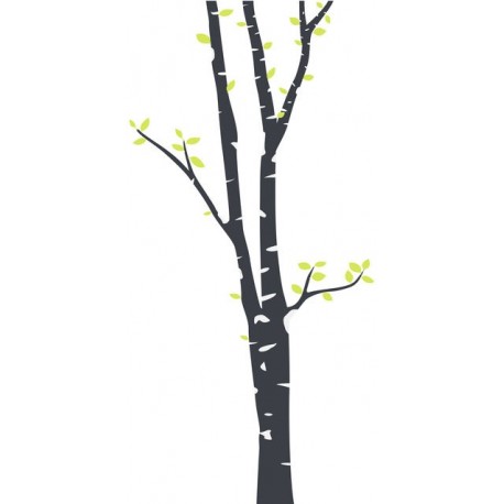 stickers mural bouleau