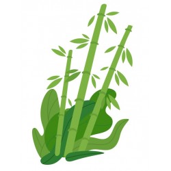 autocollant asiatique theiere