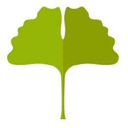 stickers fleur de lotus