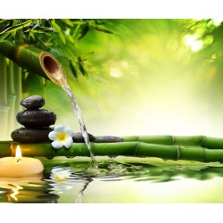 autocollant mural bambou zen