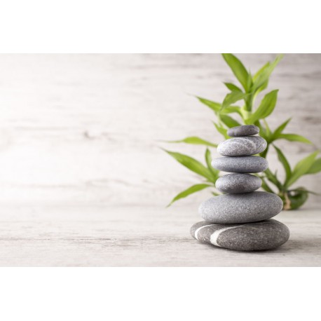 autocollant mural bambou zen