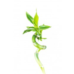 sticker chaise de plage