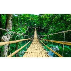 stickers bambou pont