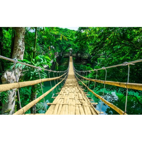 stickers bambou pont