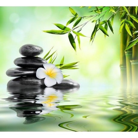 stickers salle de bain zen vert